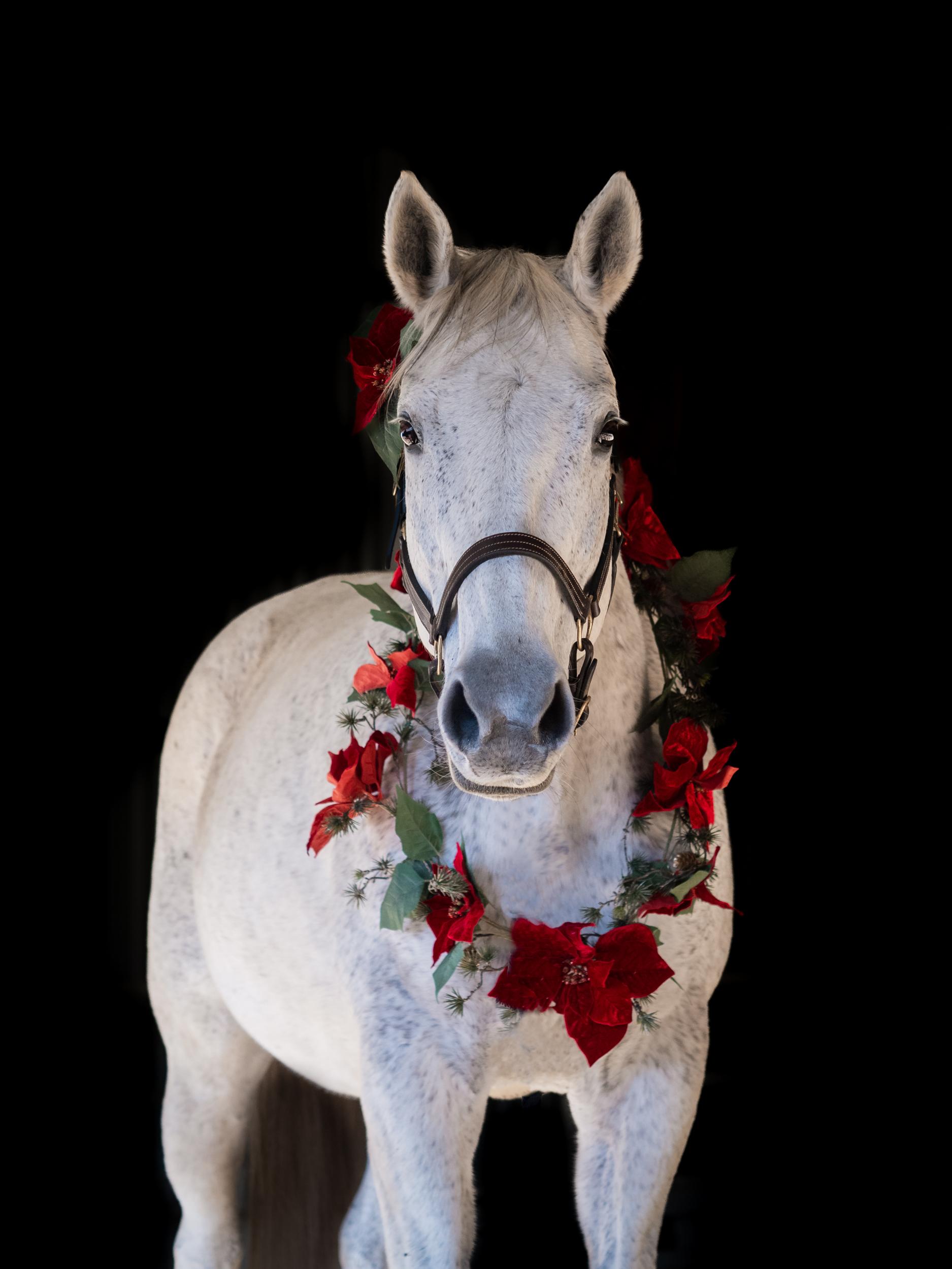 Birdie wearing a floral garland