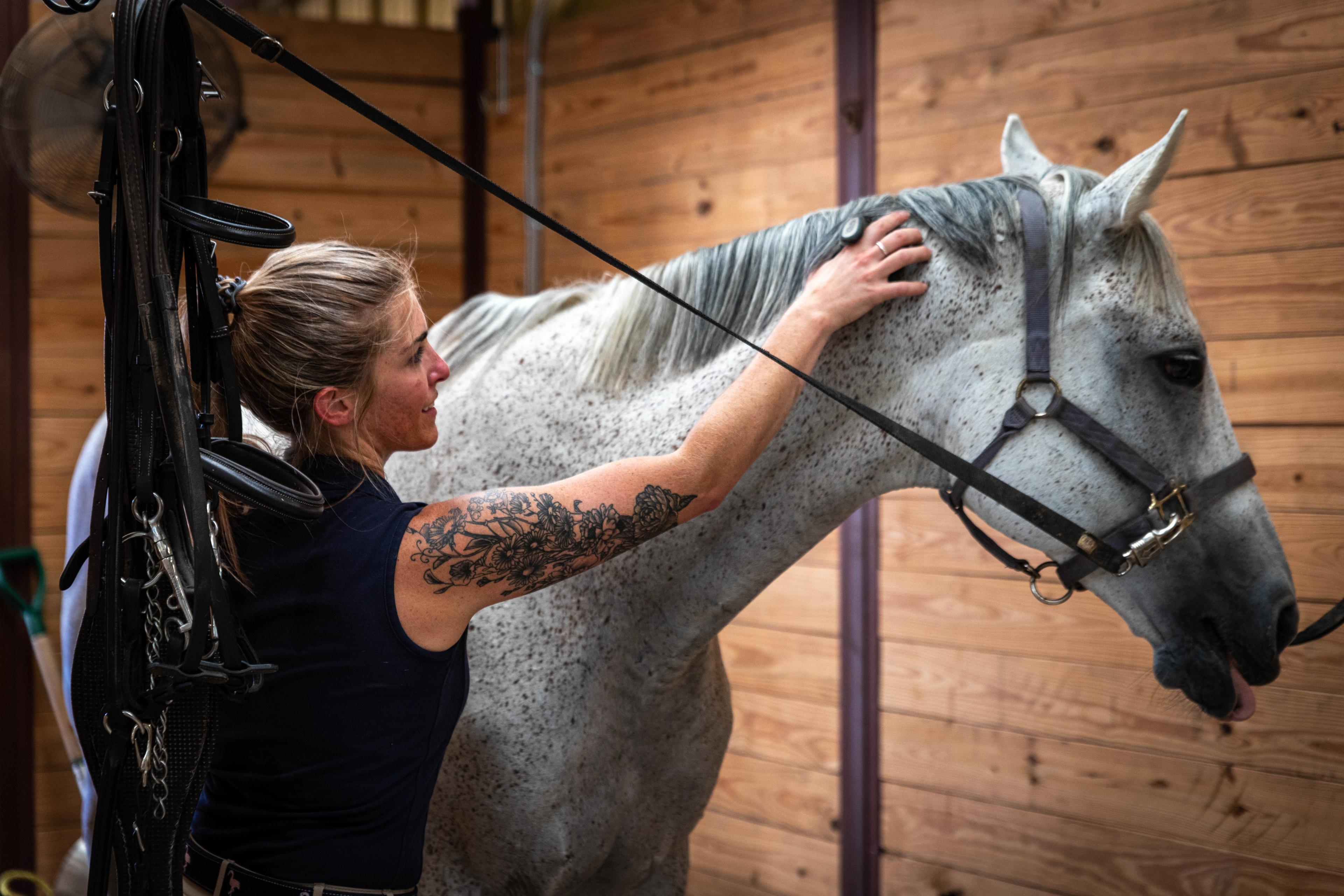 India providing equine bodywork to a horse